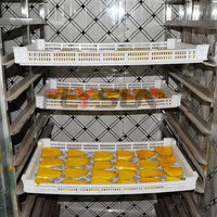 Séchoir à légumes à faible consommation d'énergie, machine de déshydratation uniforme à basse température pour carottes et gombo, vente chaude