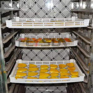Hot Selling Energy-Saving Drying Equipment Vegetable Dryer Machine for Carrot Okra Drying Low-Temperature Uniform Dehydration - Product Image 6
