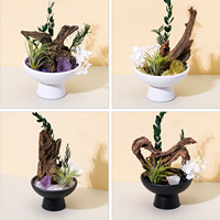 Pierre brute d'améthyste naturelle, bois de yew, bois pétrifié, os de dragon, pour aménagement paysager, micro-paysage, ornements d'aromathérapie sans flamme