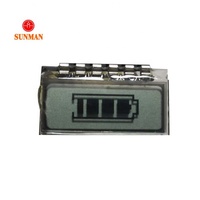 Petit appareil photo Mini Tiny Tn personnalisé chargeur de batterie au lithium testeur indicateur de capacité LCD