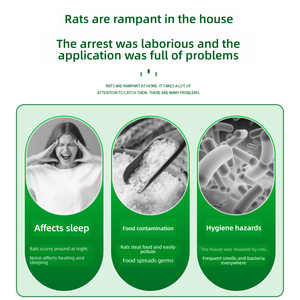 Inofensivo para los humanos Desechable Mouse Killer Glue Trap Sticky Rat Carton Board Mouse Trap Liquid Product Accessories - Product Image 4