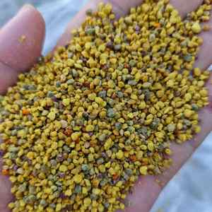 Polen de Abeja Mixto en Botellas Selladas de 250G/500G - Grado Alimenticio, Suministro al por Mayor para Reventa Minorista, Polen de Abeja Fresco - Product Image 6