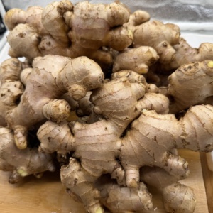 ขิงสดออร์แกนิกคุณภาพสูง ยี่ห้อหยงเจียง ได้รับการรับรองมาตรฐาน GAP ส่งตรงจากกวางสี สำหรับทำอาหาร - Product Image 2