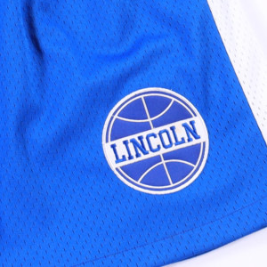 Short de <span class=keywords><strong>basket</strong></span>-ball en maille bleu <span class=keywords><strong>marine</strong></span> personnalisable pour jeunes hommes Design respirant à séchage rapide pour femmes Plus Size TF Street Basketball - Product Image 5