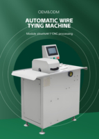 Machine automatique de ligature de saucisses 100-500 pièces/min, machine à nouer les saucisses en acier inoxydable, équipement de traitement des saucisses