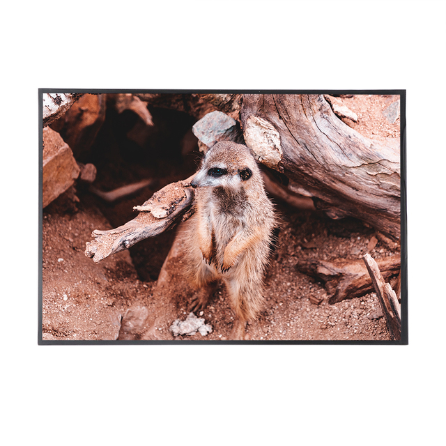K&D 5 Inch 800x480 High Contrast LCD Panel 1000:1 CR 70% NTSC LVDS Interface AG LCD TFT 1000 nit Premium LCD Module for Outdoor