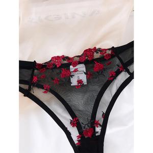 Ensemble de lingerie féminine sexy ultra-fine en dentelle brodée et voile transparent, nouvelle collection Europe et Amérique - Product Image 5