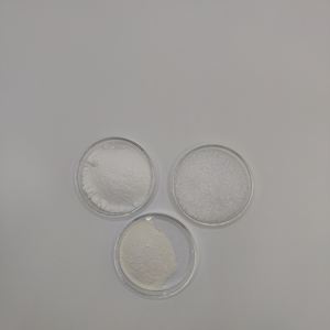 Fournisseur de probiotiques de qualité alimentaire 10 milliards d'UFC Lactobacillus Crispatus - Product Image 3