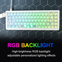 Keyboard Gaming Mekanik Mini 68-Tombol RGB Backlit Antarmuka USB Tipe-C Operasi Tiga Mode Tombol yang Dapat Diprogram Desain Portabel