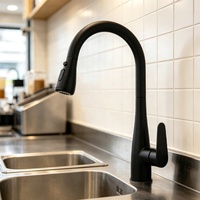 Robinet de cuisine commercial en acier inoxydable 304, mitigeur de cuisine moderne avec douchette extractible pour évier