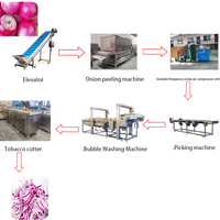 Industriële KAYA motor aangedreven was- en verwerkingslijn voor fruit (avocado, mango), groenten (aardappel) en andere producten.