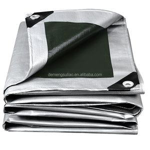 Bâche PE transparente imperméable 160 g/m² 6x8m vert-argent pour toiture, construction, échafaudage, bâtiment, entrepôt, abri - Product Image 5