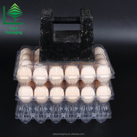Plateau à œufs 24 alvéoles en PET rigide de fabrication chinoise, sûr pour les aliments, jetable, pour œufs de poule et de canard frais de la ferme