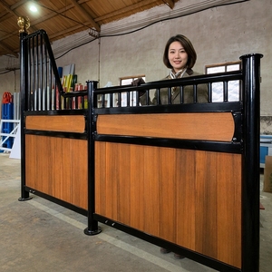 Box per Cavalli Personalizzabile Resistente alle Intemperie, Struttura in Acciaio Verniciato <span class=keywords><strong>a</strong></span> Polvere da 4m, Pannello Prefabbricato per Stalla Equestre, Stalla in Legno per Cavalli - Product Image 2