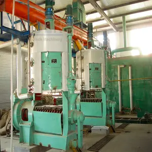 120-150t/d screw hazelnut oil extruder cocoa bean oil press machine oil mill machine