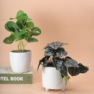 Mini oliviers artificiels en céramique émaillée <span class=keywords><strong>de</strong></span> haute qualité avec <span class=keywords><strong>pot</strong></span> en porcelaine <span class=keywords><strong>pour</strong></span> la décoration <span class=keywords><strong>de</strong></span> la maison, petite plante - Product Image 4