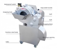Industriële hoog-efficiënte commerciële groente- en fruitsnijmachine