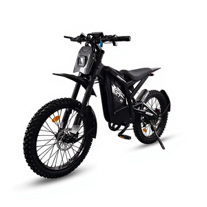GT2000 2000W Brushless V8 Mountain Ebike 60V 30AH Removable Lithium Battery Disc Rear Hub Steel Frame Beach Cruiser Brazil Stock - Product Image 1