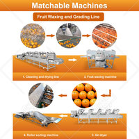 Mijn automatische sorteermachine voor kersentomaten, noten, mango's, fruit en groenten, 304 roestvrij staal, hoge efficiëntie