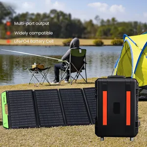 Generator 220V 5000W 3000W 2000W Portable Trolley Box Mobile Deep Cycle Outdoor construction power supply LFP Battery