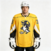 Maillot de hockey sur glace brodé personnalisé, vêtements de hockey sur glace pour hommes, maillots de hockey sur glace vierges