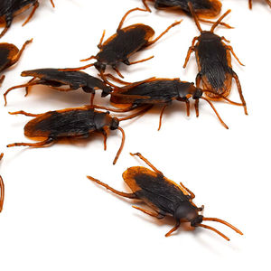Cafard réaliste en plastique pour Halloween, jouet de farce réaliste pour le Poisson d'avril, 3 cm, pour enfants, style animal - Product Image 3