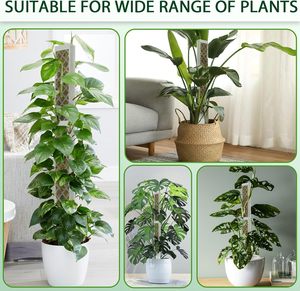Lot de 2 supports de poteau en mousse en plastique <span class=keywords><strong>pour</strong></span> <span class=keywords><strong>plantes</strong></span> <span class=keywords><strong>grimpantes</strong></span> <span class=keywords><strong>pour</strong></span> application à la maison et au jardin. - Product Image 6