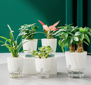 Pot de fleur en plastique transparent auto-arrosant automatique absorbant l'<span class=keywords><strong>eau</strong></span> avec corde de coton pour une utilisation dans le jardin - Product Image 2