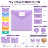 Porte-documents A4 personnalisé en PP translucide violet avec bouton-pression, étui imperméable pour documents, fabricant OEM ODM pour écoles et bureaux
