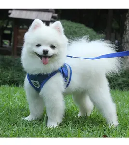 Correas reflectantes de malla de aire para mascotas, arnés suave y transpirable para perros, seguro y cómodo con correa de 1,2 m