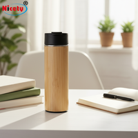 Bouteille d'eau isotherme écologique avec infuseur à thé et filtre, tasse de voyage en acier inoxydable à double paroi