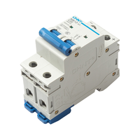 CHNT AC DC MCB NB1Z-63 1-63A 1P 110VDC/230VAC400VAC 2P 220VDC/400VAV Disjoncteur Miniature