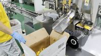 Machine d'emballage pliante à haute vitesse entièrement automatique pour chocolats en forme d'étoile à cinq branches en feuille métallique, sur mesure
