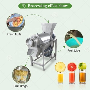 <strong>Small</strong> <strong>Juicer</strong> Make Pineapple Press Tomato Mango Extract Pulp Pulper Coconut Milk Fruit Juice Extractor Machine - Product Image 5