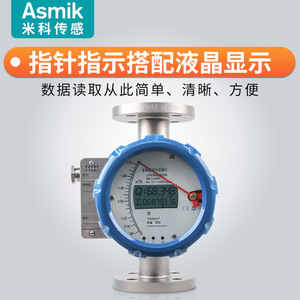 Débitmètre à flotteur tubulaire métallique CP50R40N25N 0,053000 L/h pour eau, connexion à bride en acier inoxydable, type à section variable - Product Image 3