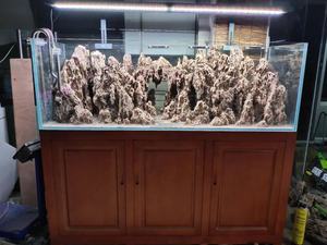 Aquascaping Rotsen Natuursteen Bonsai Drift Hout Voor <span class=keywords><strong>Aquarium</strong></span> <span class=keywords><strong>Aquarium</strong></span> Decoratie Paludarium - Product Image 5