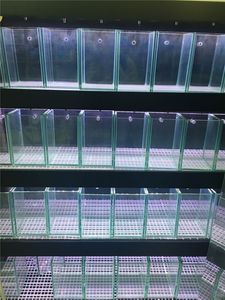 Tùy Chỉnh Kích Thước Lớn Bể Cá Xe Tăng Pha Lê Sắt Thấp Siêu Trắng Rõ Ràng Thủy Tinh Bể Cá Nước Muối Bể Cá - Product Image 6