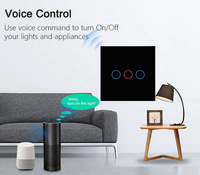 Interruptor Inteligente de Pared TYSH con 1/2/3/4 Botones y 1 Vía, Módulo Táctil para Lámpara con Control Remoto Inalámbrico, Compatible con Matter, Tuya, WiFi y Alexa para Smart Home