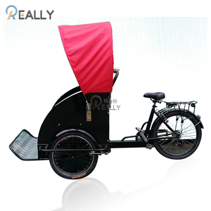 Tricycle électrique à <span class=keywords><strong>3</strong></span> <span class=keywords><strong>roues</strong></span>, appareil pour le tourisme, la famille, pour adulte - Product Image 2