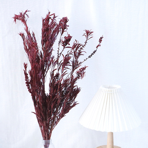 ดอกไม้แห้งประดับ<span class=keywords><strong>พระ</strong></span>พุทธรูป <span class=keywords><strong>ช่อ</strong></span>ดอกไม้แห้งทำมือ ของตกแต่งบ้าน วัสดุ DIY สำหรับวันวาเลนไทน์ วันคริสต์มาส ใช้งานได้ยาวนาน - Product Image 4