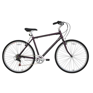 Vente chaude 2023 néerlandais <span class=keywords><strong>ville</strong></span> <span class=keywords><strong>vélo</strong></span> femmes 28 pouces titane <span class=keywords><strong>ville</strong></span> hommes courbe <span class=keywords><strong>vélo</strong></span> pliable pour japon unique sperd vitesse ue - Product Image 3
