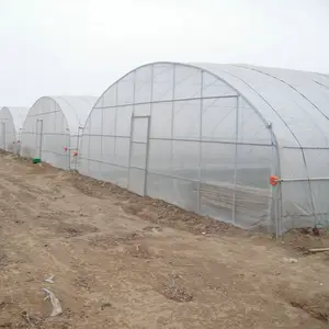 dome type vegetable hydroponic growing greenhouse for sale