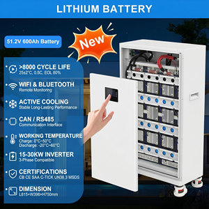 15kWh 30KWH 51.2V LiFePO4 Home Energy Storage Battery <b>Wall</b> Mounted LCD BMS RS232 OEM Private Label 48v Lifepo4 Battery Pack - Product Image 2