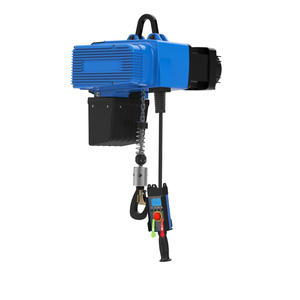 Palans à chaîne servo D2, capacité de levage de 125 kg, grue électrique en acier, moteur 220v, fabricants de palans électriques - Product Image 1