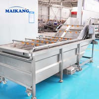 Línea de Producción Industrial Completamente Automática para Lavado y Exprimido de Frutas y Verduras, Planta de Procesamiento Completa con Sistema de Pasteurización