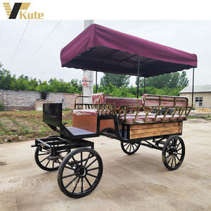 Carruaje Eléctrico de Turismo de Alta Gama para Recepción de Hoteles y Villas - Product Image 3