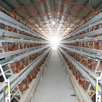 Cage à batterie automatique pour l'élevage de poules pondeuses, capacité 90-200 poules, en acier inoxydable, plastique et acier galvanisé, nouvelle version longue