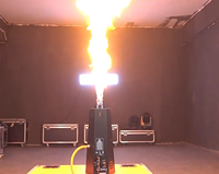 Générateur de flammes DMX 200W pour effets de scène avec bouteille de gaz externe pour spectacles sur scène.