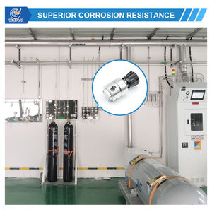 Régulateurs de pression de gaz à structure à diaphragme à simple étage à haut débit R13 SS316L avec manomètre pour laboratoire - Product Image 5