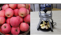 Multi-Functionele Commerciële Handmatige Handpers Fruit Gesneden Machine Appel Citroen Limoen Snijder Hakmolen